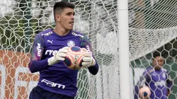 Leila define quem será o substituto de Vinicius Silvestre no Palmeiras