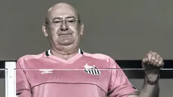 Foto: Ivan Storti/Santos FC