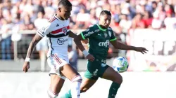 Cesar Greco/Palmeiras