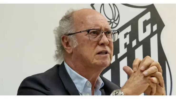 Foto: Ivan Storti/Santos FC - Falcão é o coordenador esportivo do Santos