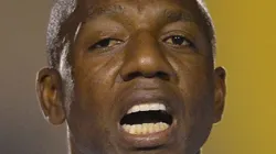 Foto: Mauro Horita/AGIF - Amaral agitou os torcedores do Palmeiras.