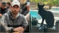 Brian Rast e o cachorrinho de estimação (Foto: Spenser Sembrat/ WSOP e Reprodução Twitter @tsarrast)