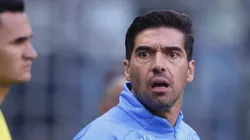 SP - SAO PAULO - 15/04/2023 - BRASILEIRO A 2023, PALMEIRAS X CUIABA - Abel Ferreira tecnico do Palmeiras durante partida contra o Cuiaba no estadio Arena Allianz Parque pelo campeonato BRASILEIRO A 2023. Foto: Ettore Chiereguini/AGIF