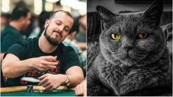 Zach Gruneberg perdeu o gato depois de jogar a WSOP (Fotos: Alec Rome/PokerNews e Reprodução/Pixabay)