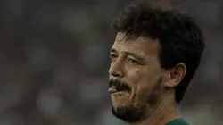 Foto: Thiago Ribeiro/AGIF - Fernando Diniz