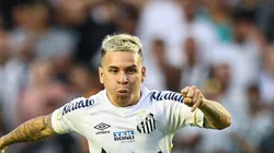 SP - SANTOS - 20/08/2023 - BRASILEIRO A 2023, SANTOS X GREMIO - Soteldo jogador do Santos durante lance do gol de Marcos Leonardo em partida contra o Gremio no estadio Vila Belmiro pelo campeonato Brasileiro A 2023. Foto: Fernanda Luz/AGIF