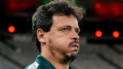 Foto: Thiago Ribeiro/AGIF - Fernando Diniz