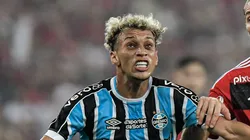 Bitello está crescendo a cada ano