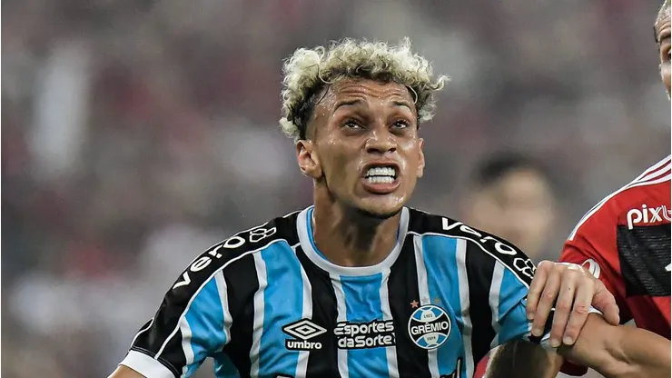 Bitello está crescendo a cada ano