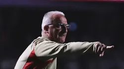 Foto: Ettore Chiereguini/AGIF - Dorival Júnior