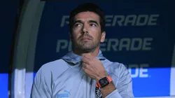 Foto: Ettore Chiereguini/AGIF - Abel pode ser importante nessa "limpa" do Palmeiras.