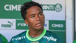 SP - SAO PAULO - 25/06/2023 - BRASILEIRO A 2023, PALMEIRAS X BOTAFOGO - Endrick jogador do Palmeiras durante partida contra o Botafogo no estadio Arena Allianz Parque pelo campeonato BRASILEIRO A 2023. Foto: Marcello Zambrana/AGIF