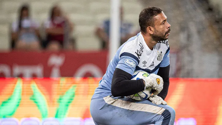Vladimir e +6: Santos MACHUCA o torcedor em goleada