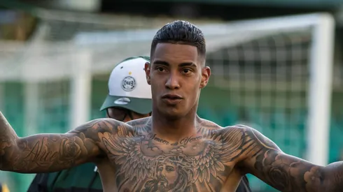 Manga em ação em 2022