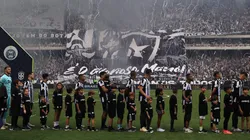Foto: Vitor Silva/Botafogo - Nilton Santos estará lotado contra o Inter