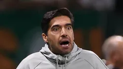 Foto: Divulgação Flickr Palmeiras/Cesar Greco - Abel Ferreira fala do Botafogo