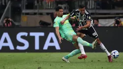 Foto: divulgação Palmeiras