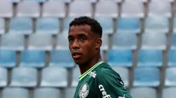Foto: Flickr Palmeiras/Luiz