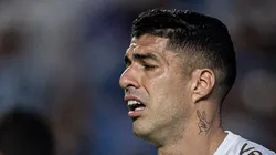 AC - GOIANIA - 30/07/2023 - BRASILEIRO A 2023, GOIAS X GREMIO - Suarez jogador do Gremio durante partida contra o Goias no estadio Serrinha pelo campeonato Brasileiro A 2023. Foto: Isabela Azine/AGIF