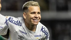 Foto: Abner Dourado/AGIF - Soteldo pode ser reintegrado após a demissão de Turra