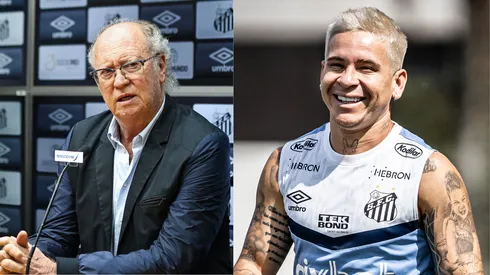 Foto: Fernanda Luz/AGIF / Foto: Raul Baretta/ Santos FC