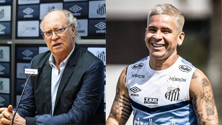 Foto: Fernanda Luz/AGIF / Foto: Raul Baretta/ Santos FC