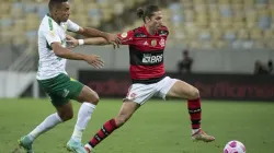 foto: Alexandre Vidal / Flamengo
