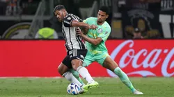 Foto: divulgação Palmeiras