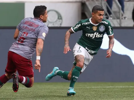FLUMINENSE x PALMEIRAS pelo Campeonato Brasileiro; Onde assistir AO VIVO, raio-x e mais