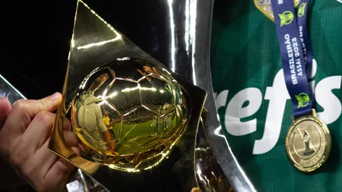 Jogadores do Palmeiras celebram título do Brasileirão Série A 2023 após vencerem o Cruzeiro no Mineirão. Fernando Moreno/AGIF