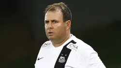 Foto: Ricardo Saibun / Divulgação SantosFC