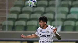 MG - BELO HORIZONTE - 03/09/2023 - BRASILEIRO A 2023, AMERICA-MG X SANTOS - Joao Basso jogador do Santos durante partida contra o America-MG no estadio Independencia pelo campeonato Brasileiro A 2023. Foto: Gilson Lobo/AGIF
