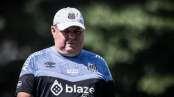 Raul Baretta/ Santos FC - Marcelo Fernandes deu aval para voltas