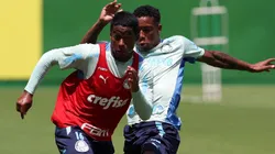 Endrick e Kevin são opções de Abel para entrar na vaga de Dudu no Palmeiras
