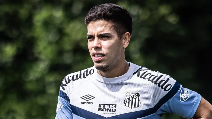 Fotos: Raul Baretta/ Santos FC.