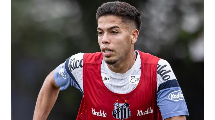 Foto: Raul Baretta / Santos FC
