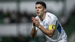 Foto: Isabela Azine/AGIF - Suárez: centroavante desabafou contra Wilton Pereira Sampaio