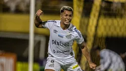 Foto: Divulgação/Santos