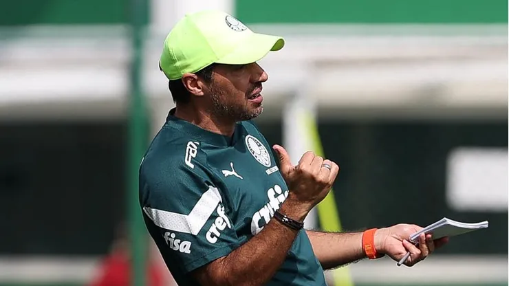 (Foto: Cesar Greco/Palmeiras/by Canon)