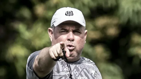 Foto: Ivan Storti/Santos FC - Marcelo Fernandes vai comandar o Santos contra o Bahia