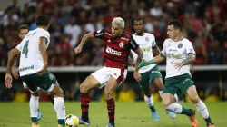 Foto: Wagner Meier / Getty Images