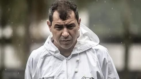 Carille está na mira do Santos – Foto: Ivan Storti/Santos FC