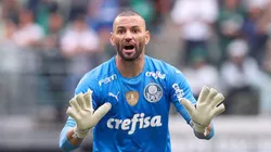Foto: Divulgação/Palmeiras