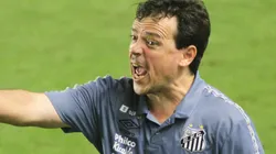 Foto: Fernanda Luz/AGIF - Fernando Diniz dirigiu o Santos em 2021