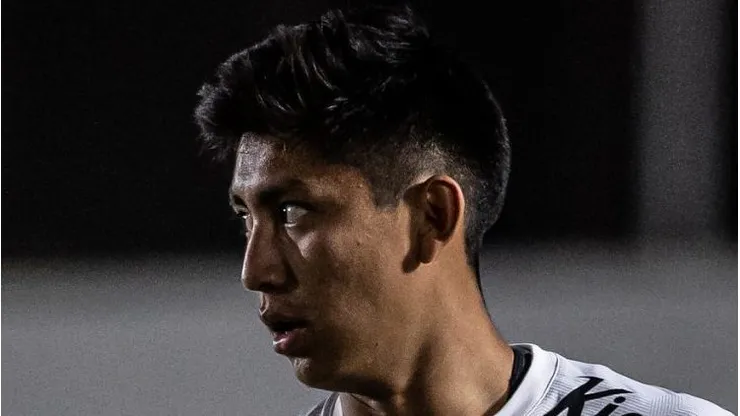 Foto: Raul Baretta/ Santos FC.