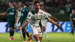 Foto: Cesar Greco/Palmeiras)
