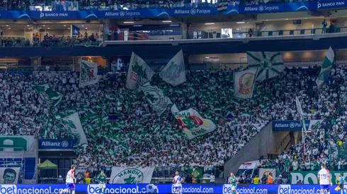 Torcida do Palmeiras durante partida contra Fortaleza no estadio Arena Allianz Parque pelo campeonato Copa do Brasil 2023. Foto: Ettore Chiereguini/AGIF