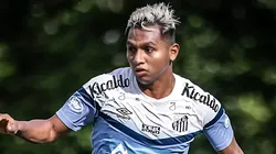 Foto: Raul Baretta/Santos FC - Alfredo Morelos chegou no Santos rodeado de expectativas