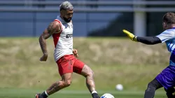 Foto: Marcelo Cortes /CRF