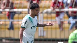 Ian Custódio - Fabio Menotti / Palmeiras / Flickr